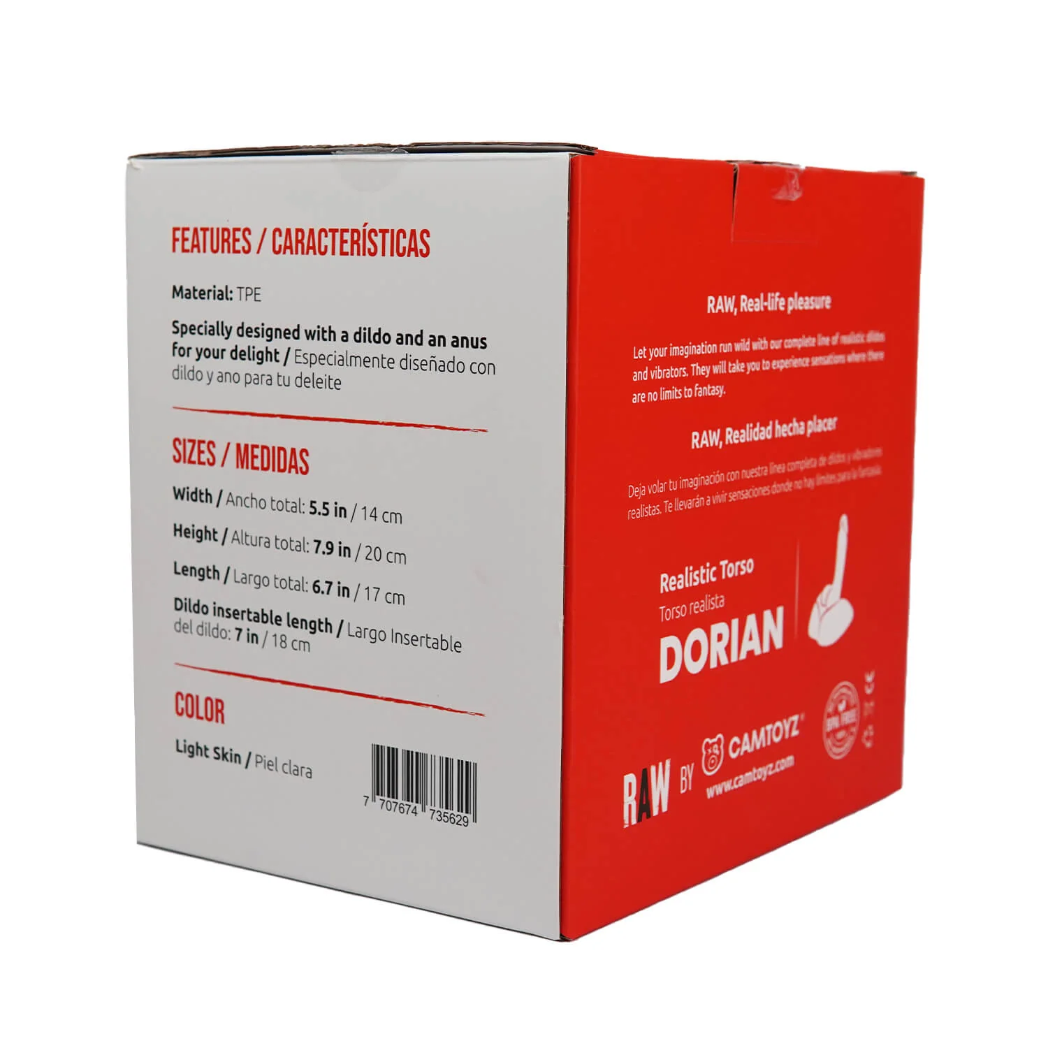 Raw Mini Torso Dorian - Image 11